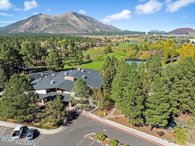 aerial view with a mountain view