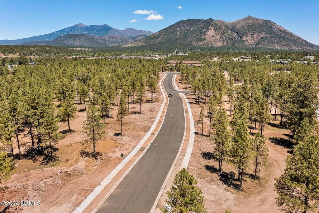 property view of mountains