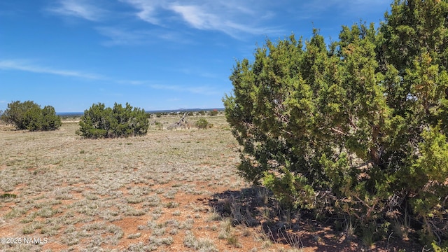 2447 E Wingfield Rd, Williams, AZ 86046