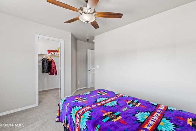 carpeted bedroom featuring a closet, ceiling fan, and a walk in closet