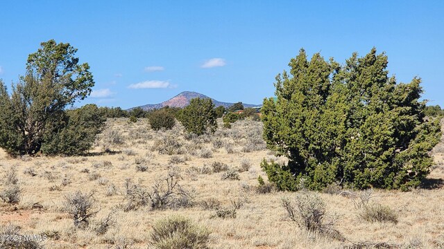 3433 Red Butte Rd, Lot C, Williams AZ, 86046 land for sale