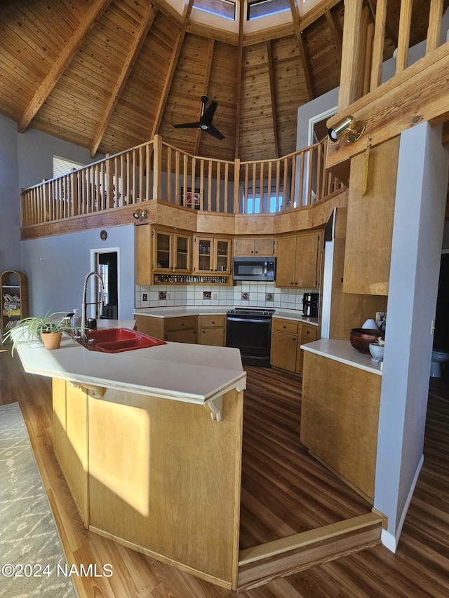 kitchen featuring sink, high vaulted ceiling, dark hardwood / wood-style flooring, and electric stove