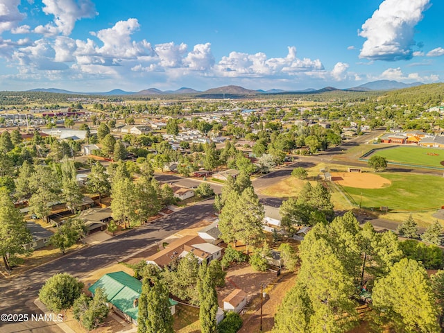 1021 W Sheridan Ave, Williams, AZ 86046 - photo 53