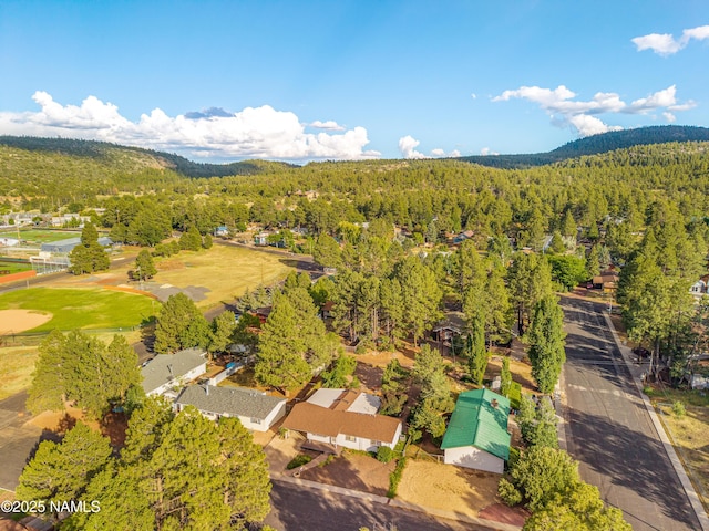 1021 W Sheridan Ave, Williams, AZ 86046 - photo 8