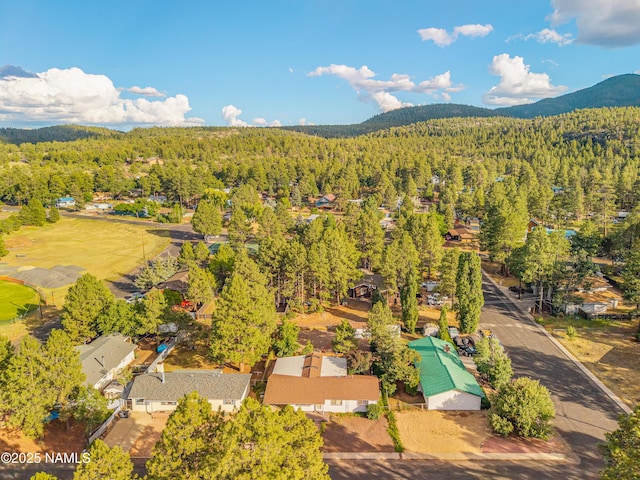 1021 W Sheridan Ave, Williams, AZ 86046 - photo 47