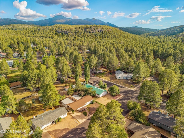 1021 W Sheridan Ave, Williams, AZ 86046 - photo 55