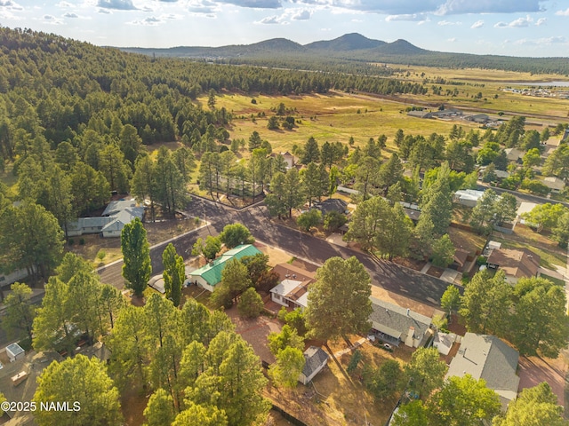 1021 W Sheridan Ave, Williams, AZ 86046 - photo 6