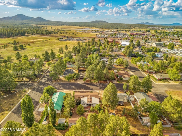 1021 W Sheridan Ave, Williams, AZ 86046 - photo 54