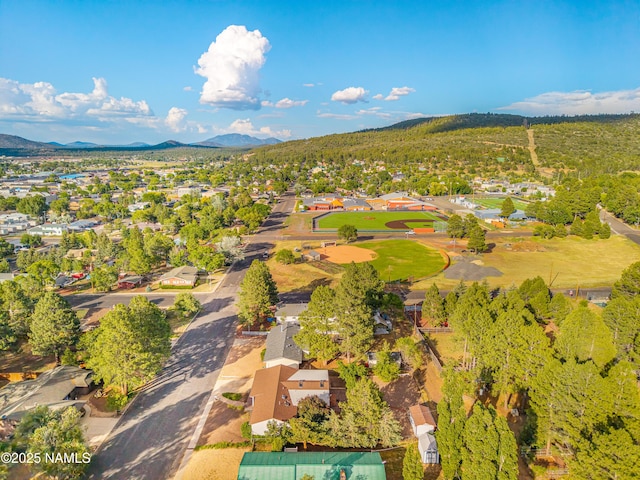 1021 W Sheridan Ave, Williams, AZ 86046 - photo 52