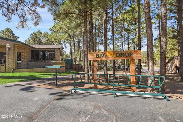 view of jungle gym