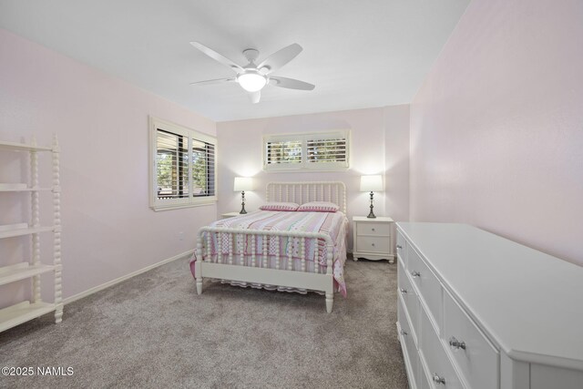 1421 W University Heights Dr S, Flagstaff, AZ 86005 - photo 39