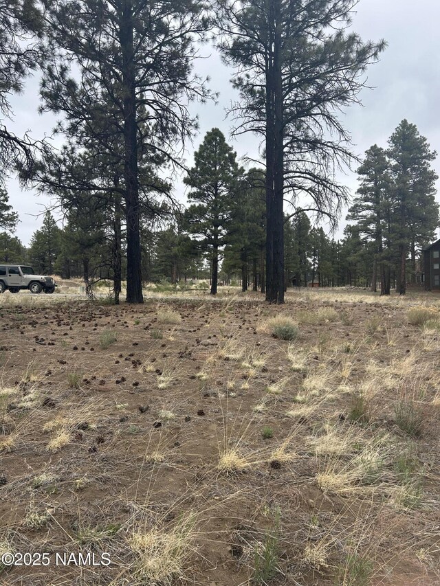 11835 Glodia Dr, Flagstaff, AZ 86004 - photo 8