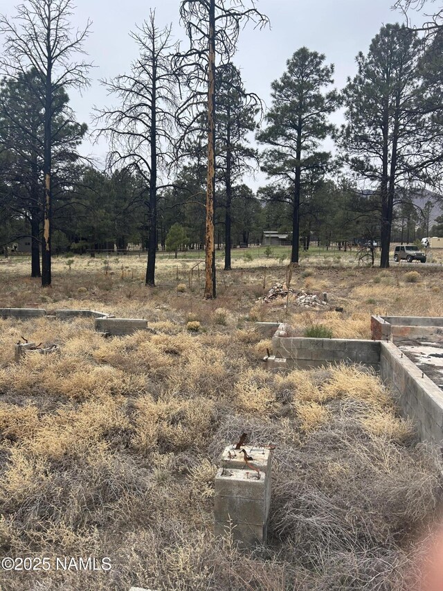 11835 Glodia Dr, Flagstaff, AZ 86004 - photo 10
