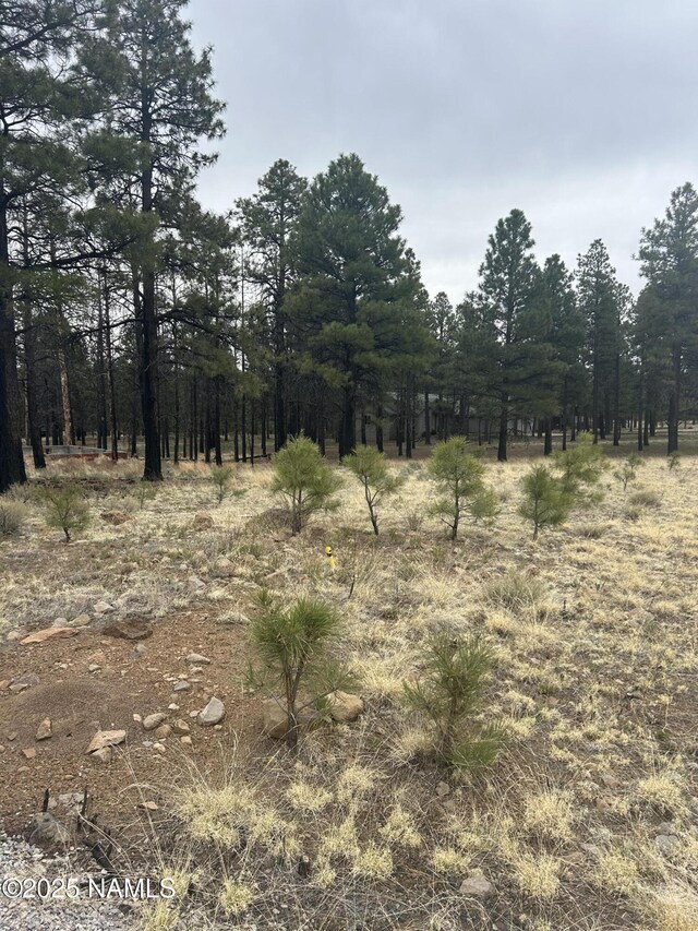 11835 Glodia Dr, Flagstaff, AZ 86004 - photo 1