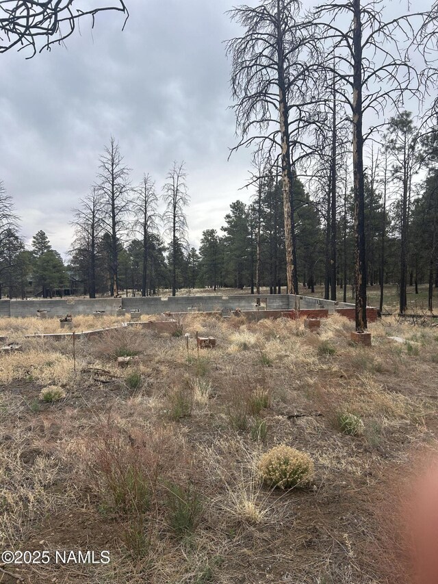 11835 Glodia Dr, Flagstaff, AZ 86004 - photo 12