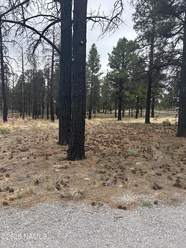 11835 Glodia Dr, Flagstaff, AZ 86004 - photo 4