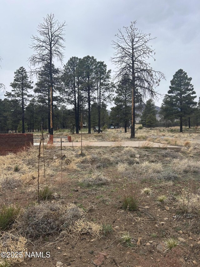 11835 Glodia Dr, Flagstaff, AZ 86004 - photo 9