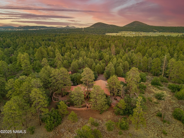 5300 E Lindsey Rd, Flagstaff, AZ 86004 - photo 89