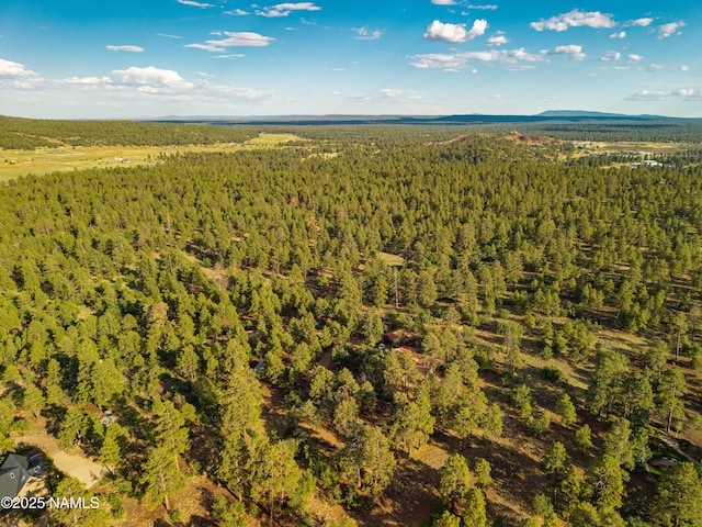 5300 E Lindsey Rd, Flagstaff, AZ 86004 - photo 78