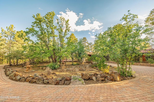 5300 E Lindsey Rd, Flagstaff, AZ 86004 - photo 67