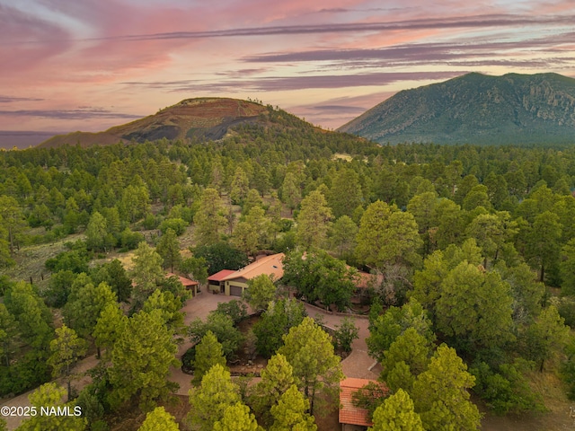 5300 E Lindsey Rd, Flagstaff, AZ 86004 - photo 88