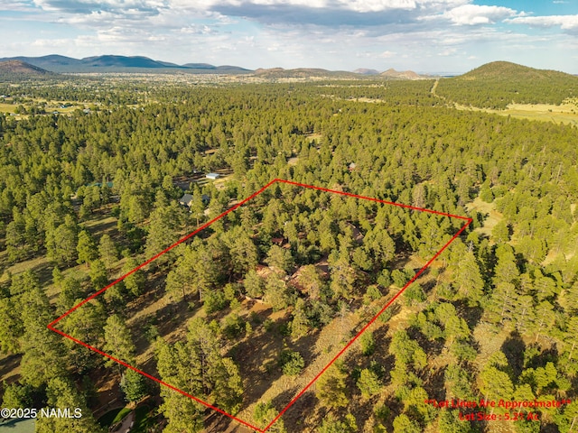 5300 E Lindsey Rd, Flagstaff, AZ 86004 - photo 91