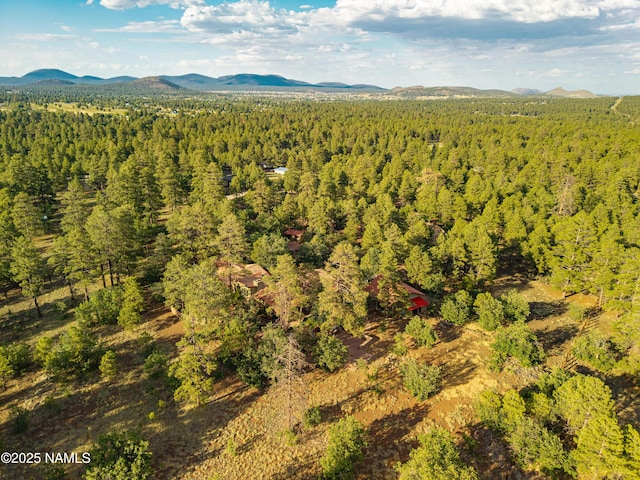 5300 E Lindsey Rd, Flagstaff, AZ 86004 - photo 83