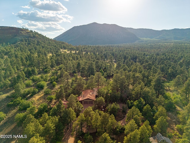 5300 E Lindsey Rd, Flagstaff, AZ 86004 - photo 90