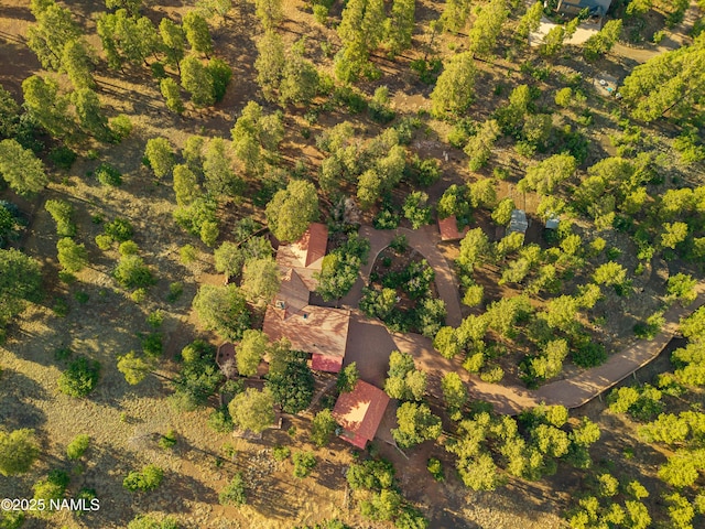 5300 E Lindsey Rd, Flagstaff, AZ 86004 - photo 84