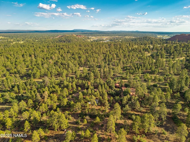 5300 E Lindsey Rd, Flagstaff, AZ 86004 - photo 77