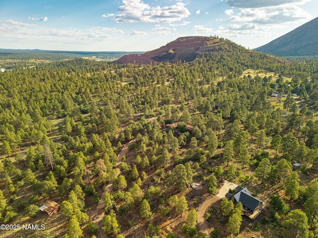 5300 E Lindsey Rd, Flagstaff, AZ 86004 - photo 75