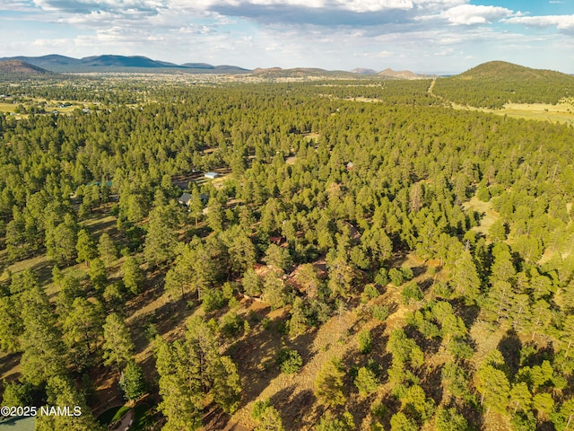 5300 E Lindsey Rd, Flagstaff, AZ 86004 - photo 81