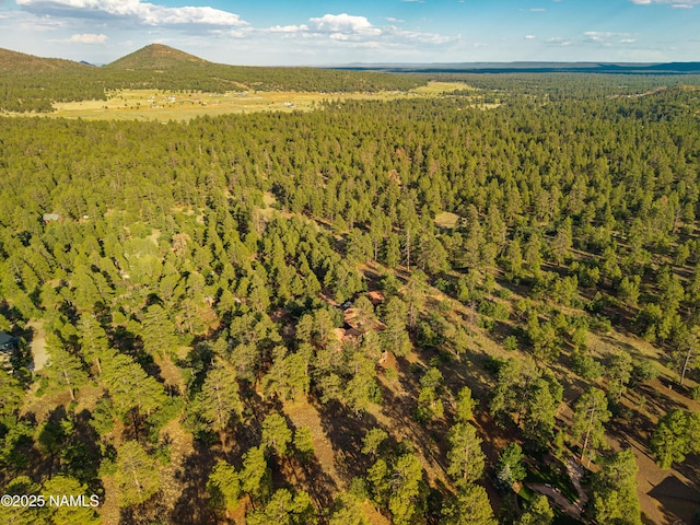 5300 E Lindsey Rd, Flagstaff, AZ 86004 - photo 79