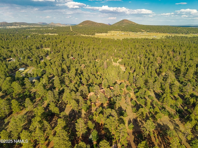 5300 E Lindsey Rd, Flagstaff, AZ 86004 - photo 80