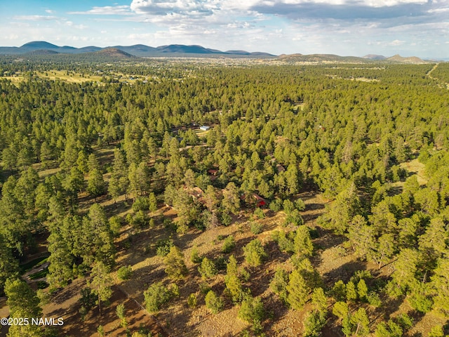 5300 E Lindsey Rd, Flagstaff, AZ 86004 - photo 82