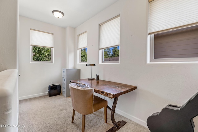4759 W Quick Draw, Flagstaff, AZ 86005 - office area featuring carpet and baseboards