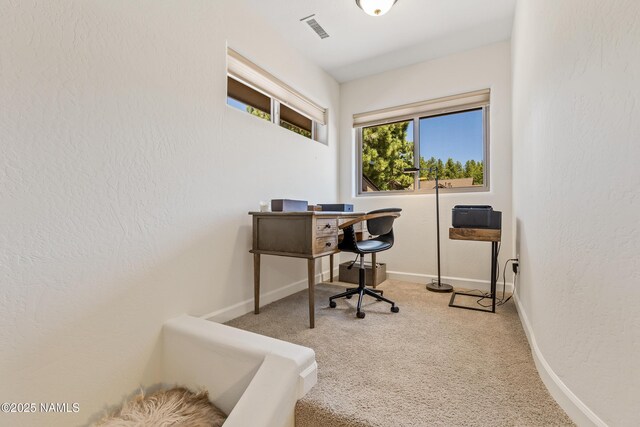 4759 W Quick Draw, Flagstaff, AZ 86005 - office space featuring carpet flooring and baseboards