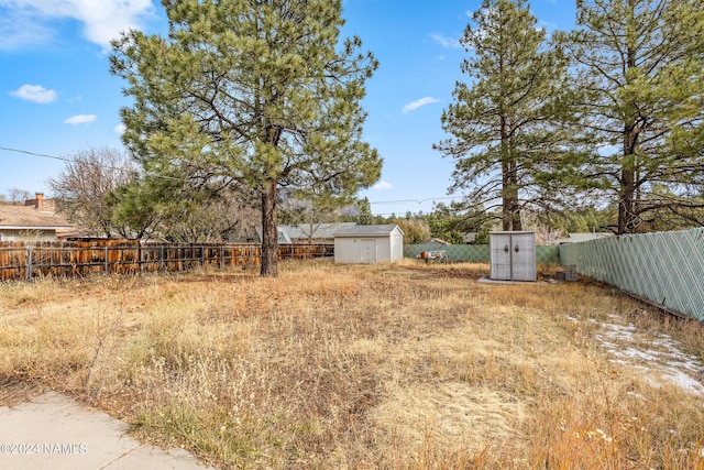 view of yard featuring a storage unit