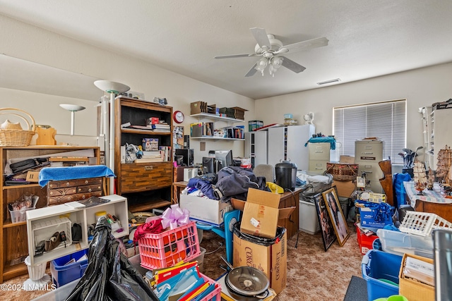 storage room featuring ceiling fan