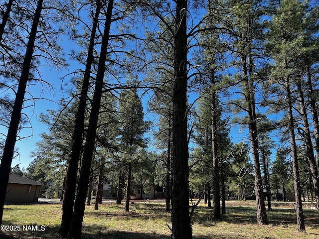 3223 W Stoney Brook Brk, Williams, AZ 86046