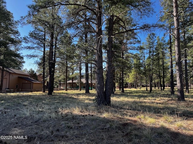 3223 W Stoney Brook Brk, Williams, AZ 86046