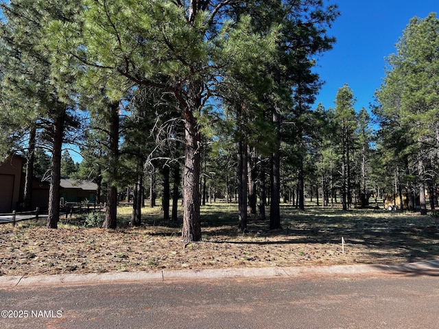 3223 W Stoney Brook Brk, Williams, AZ 86046