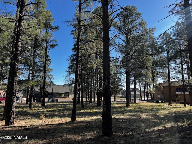 3223 W Stoney Brook Brk, Williams, AZ 86046