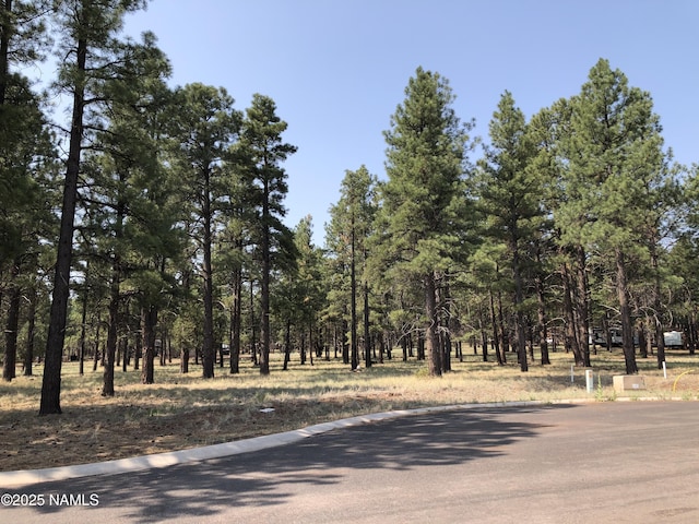 3223 W Stoney Brook Brk, Williams, AZ 86046