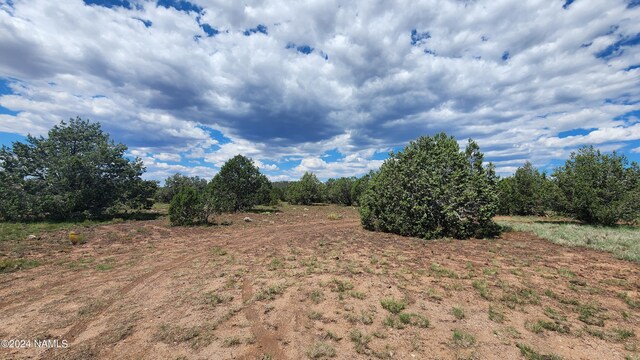 3101 W Pinto Dr, Williams, AZ 86046