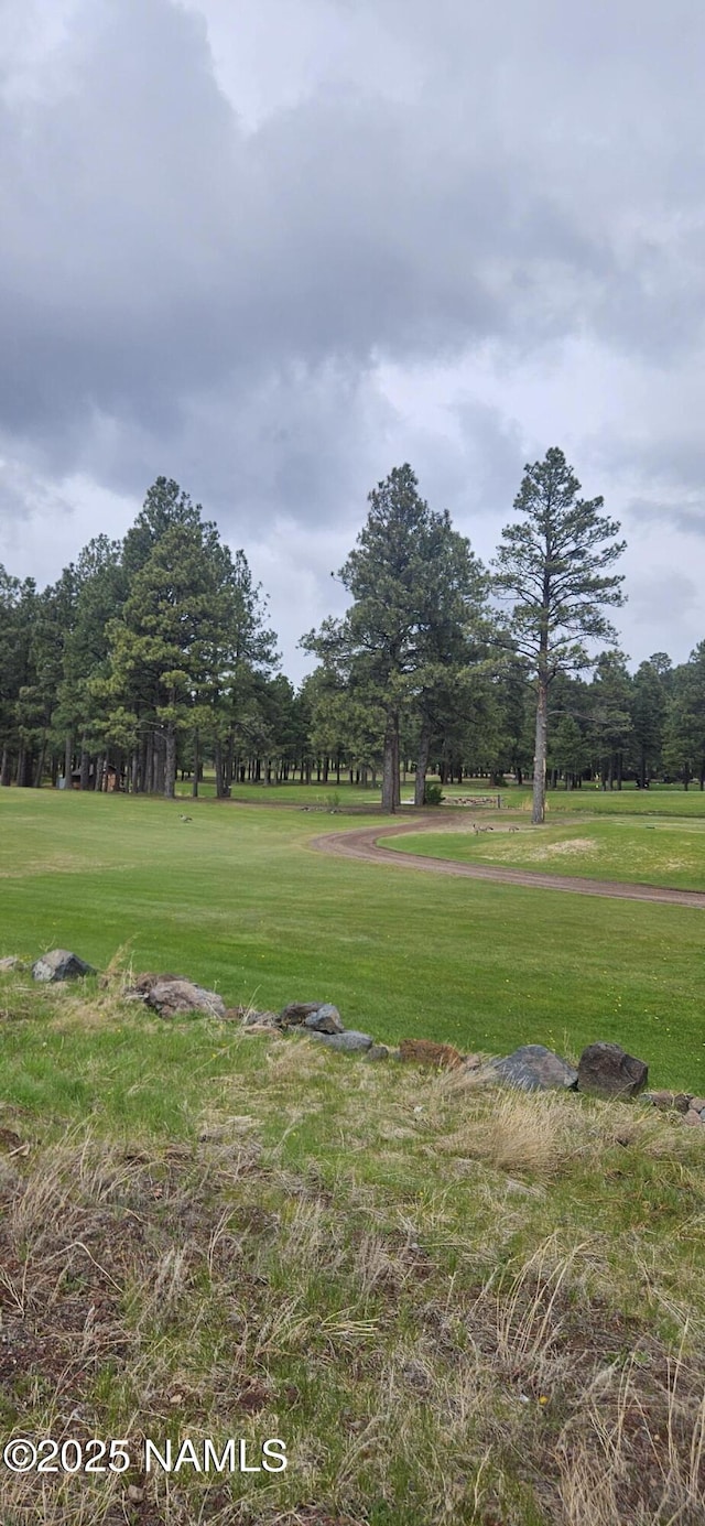 surrounding community with a yard