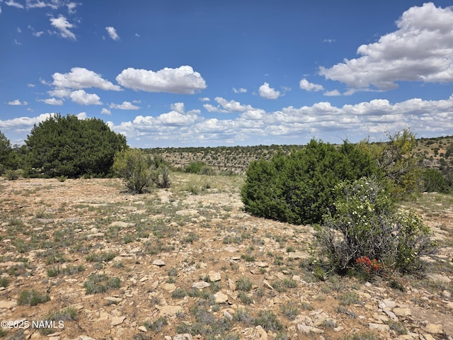 3561 S Red Butte Trl, Williams, AZ 86046