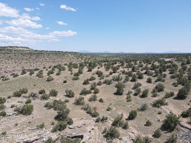 3561 S Red Butte Trl, Williams, AZ 86046