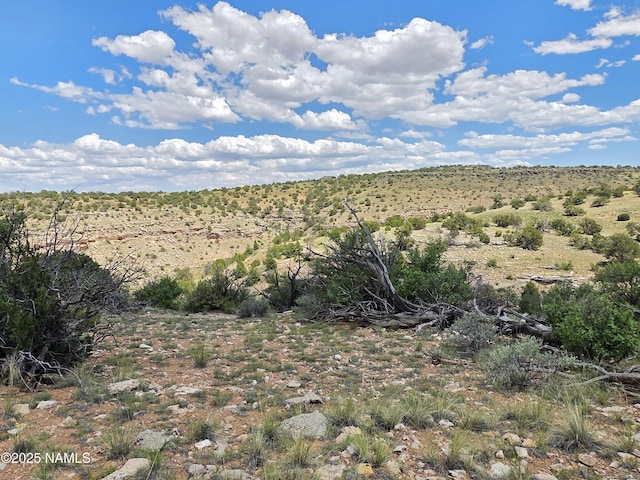3561 S Red Butte Trl, Williams, AZ 86046