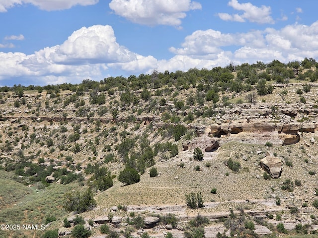 3561 S Red Butte Trl, Williams, AZ 86046